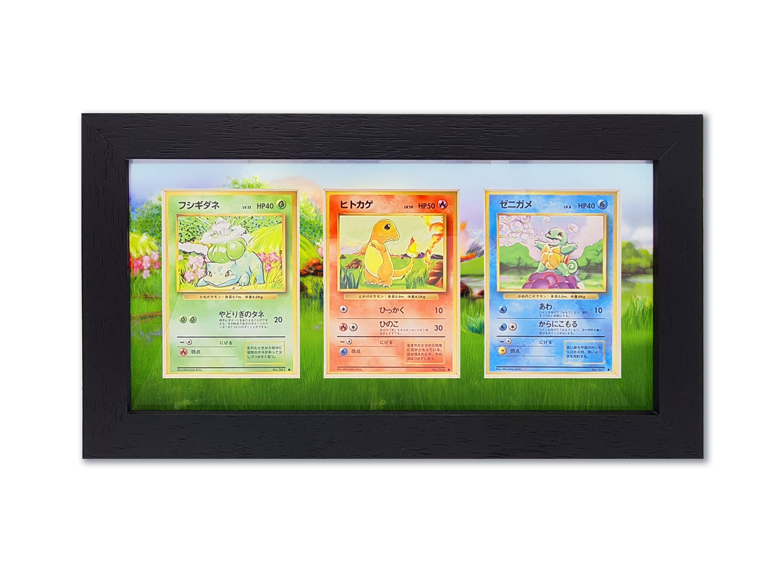 Pokemon 3 Starters Base Set Print Raw Card Frame Ridanco Displays Pokemon 3 Starters Base Set Print Raw Card Frame Ridanco Displays