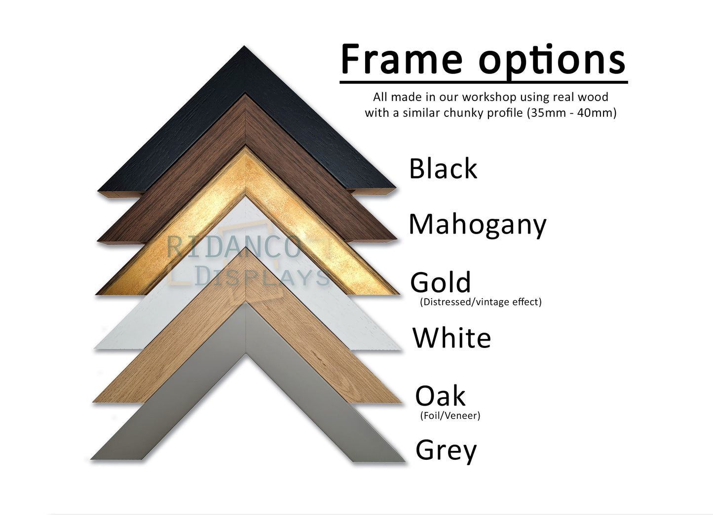 Pokemon Feebas and Milotic Surging Sparks SAR Print 2 Slab Frame