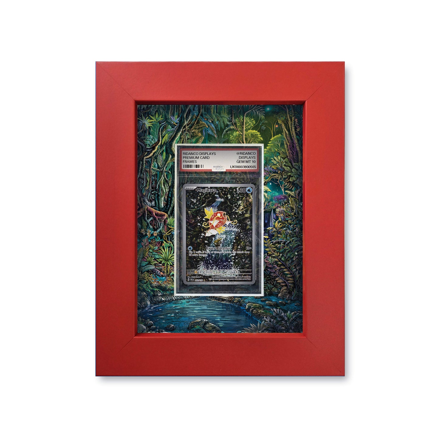 Magikarp Paldea Print 1 Graded Card Slab Frame | 33x30mm 'Showpiece'