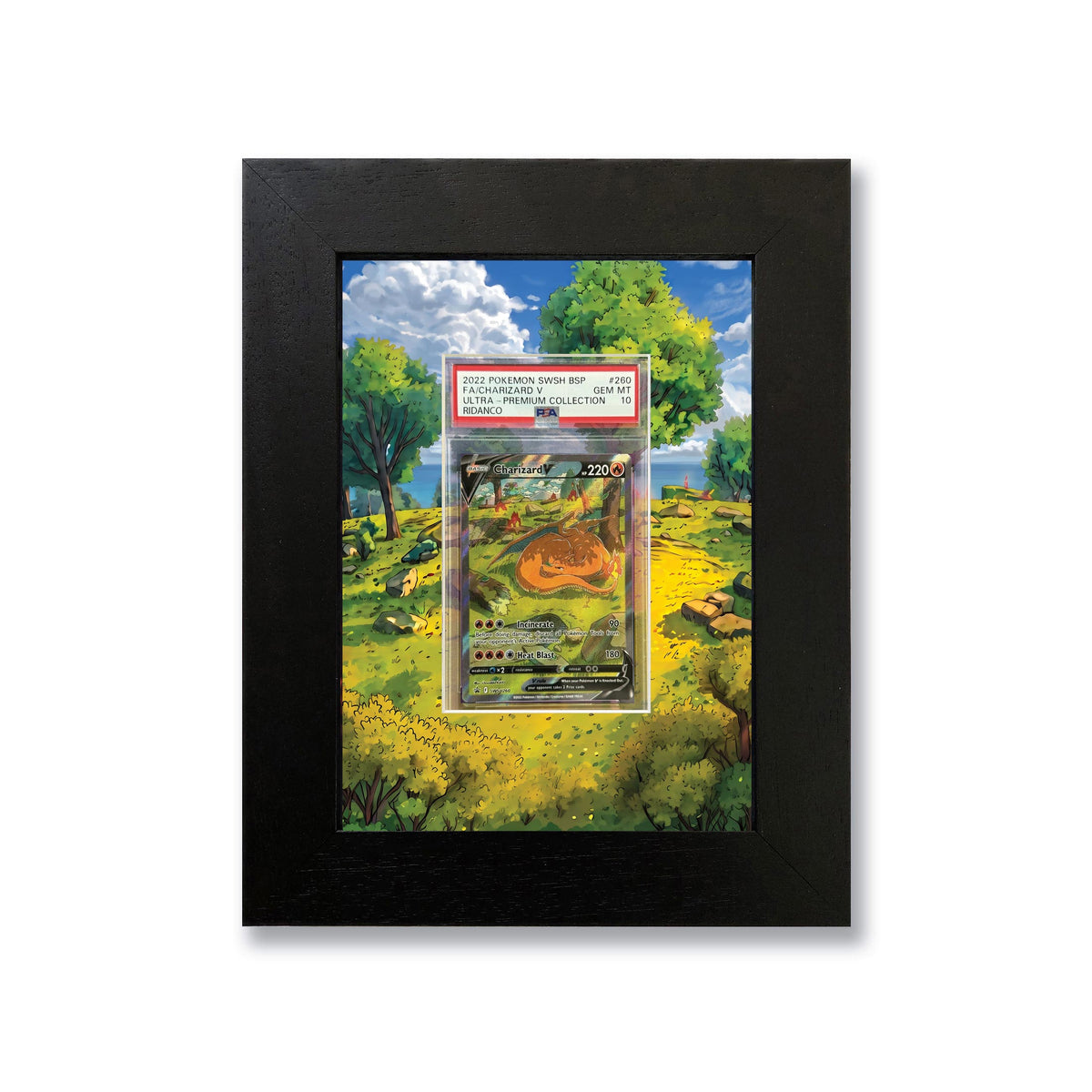 Charizard V 260 UPC Print 1 Graded Card Slab Frame | 33x30mm 'Showpiece'