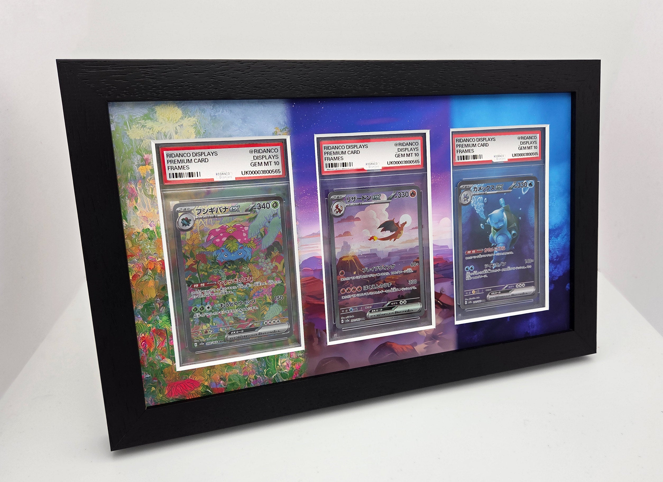 Evolution Card Frame Pokemon 151 Starters Final Evos Print 3 Slab Frame – Ridanco Displays