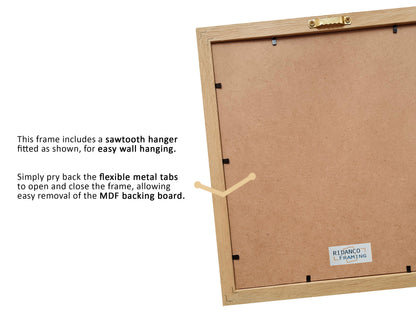 8 Graded Card Slab Frame | Black | Ridanco Core