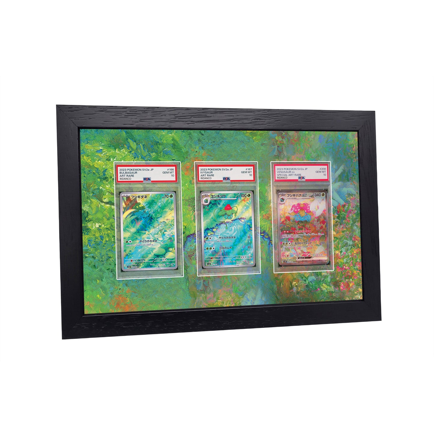 Grass Starter Pokemon 151 Evo Line Print 3 Slab Frame | Landscape Version