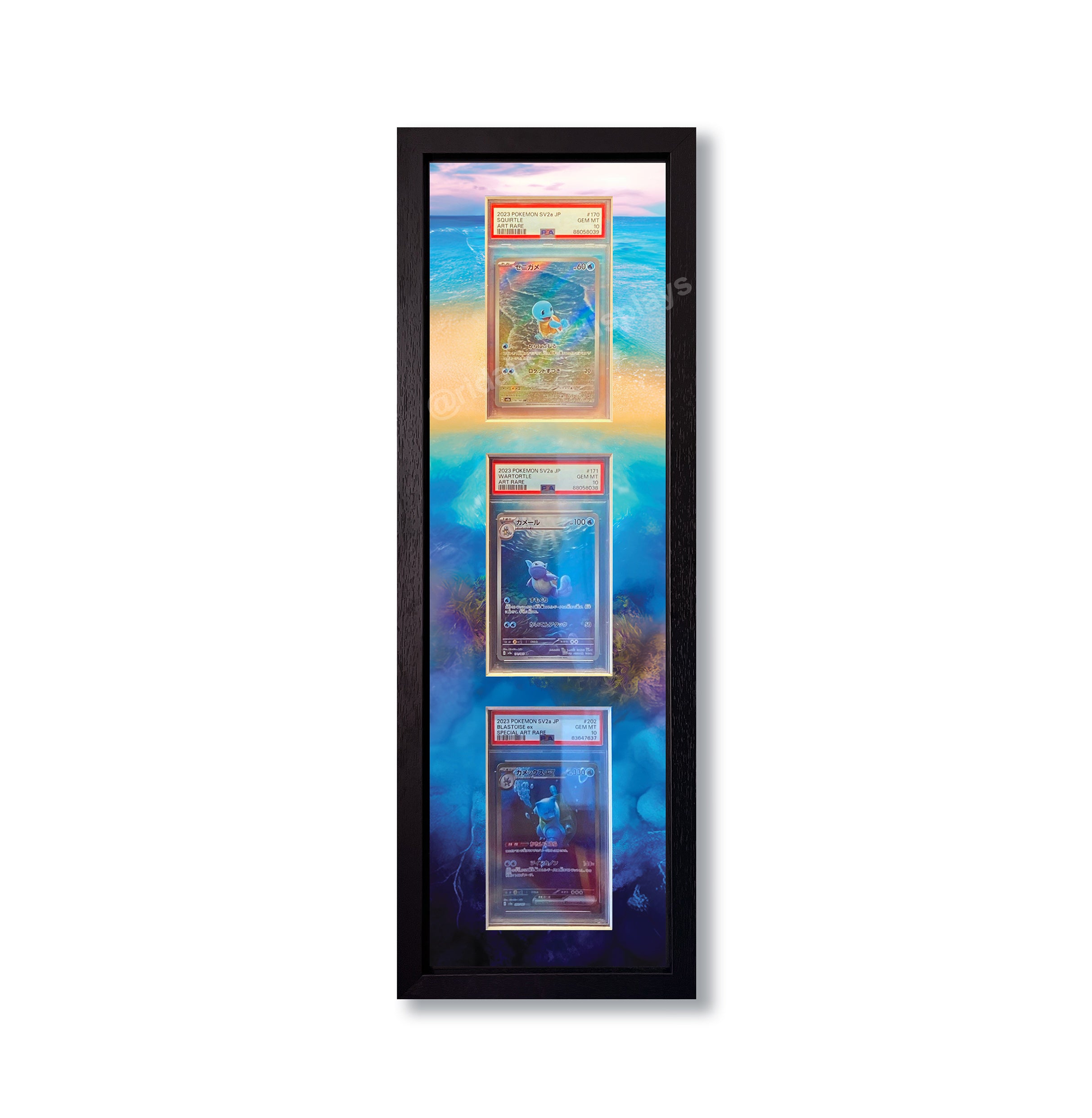 Evolution Card Frame Water Starter Pokemon 151 Evo Line Print 3 Slab Frame – Ridanco Displays